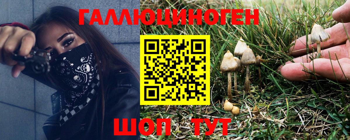 Набережные Челны  Псилоцибиновые грибы прущие грибы  Вход с VPN 