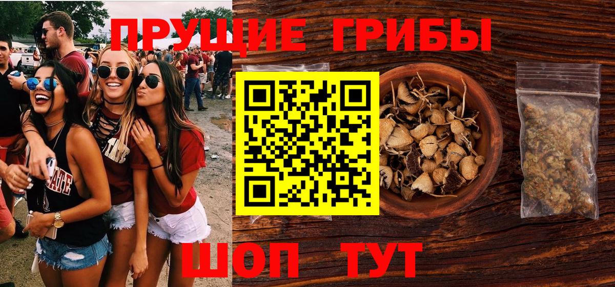 Галлюциногенные грибы Psilocybine cubensis Набережные Челны